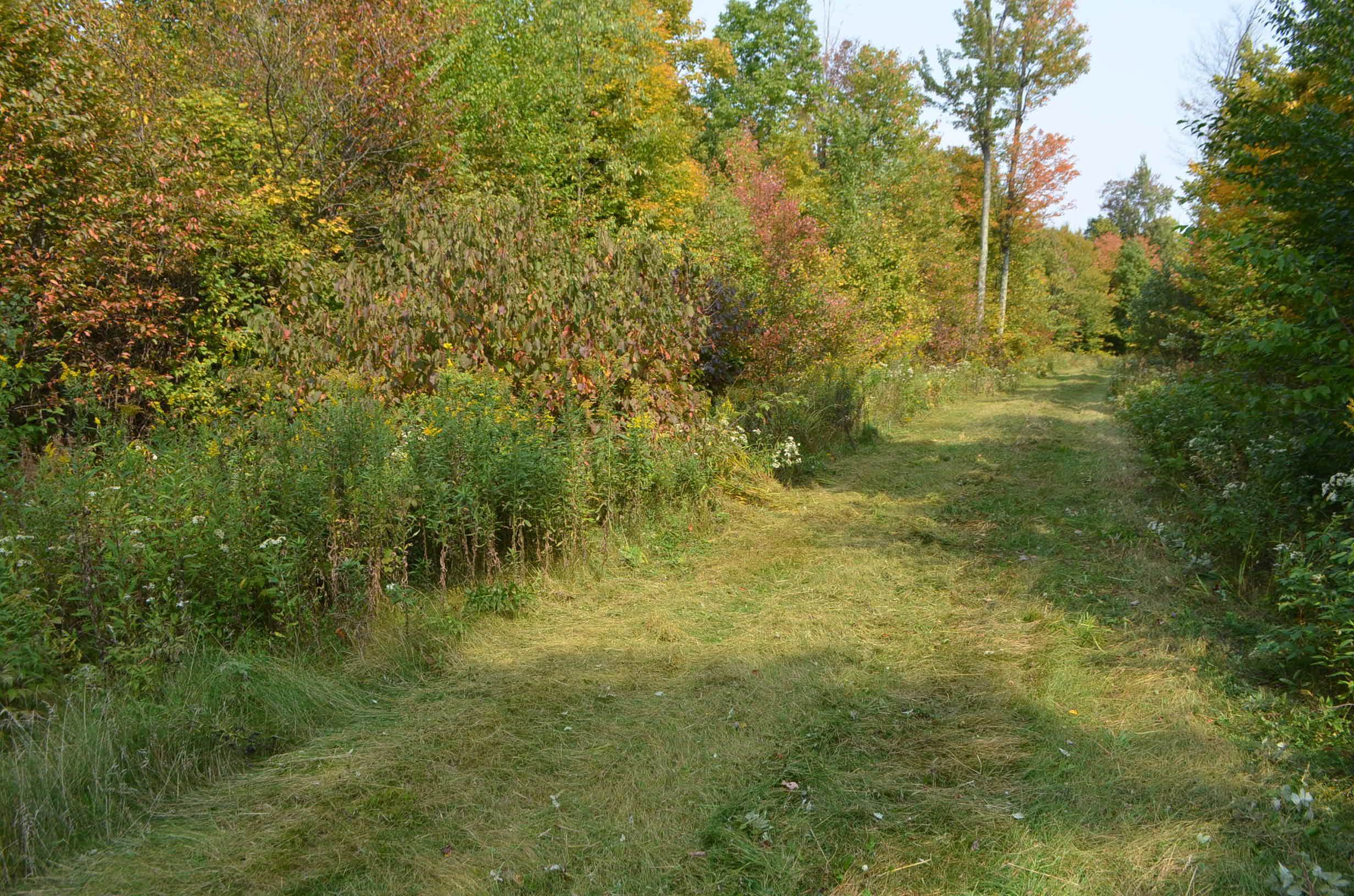 Peterson Road Gleason, WI 54435 - Photo 53 of 68