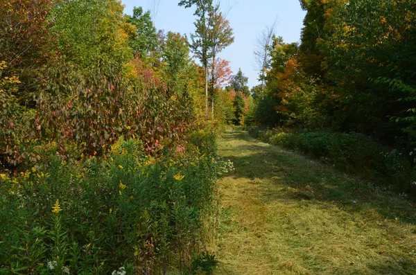 $429,900 | Peterson Road, Gleason, WI 54435