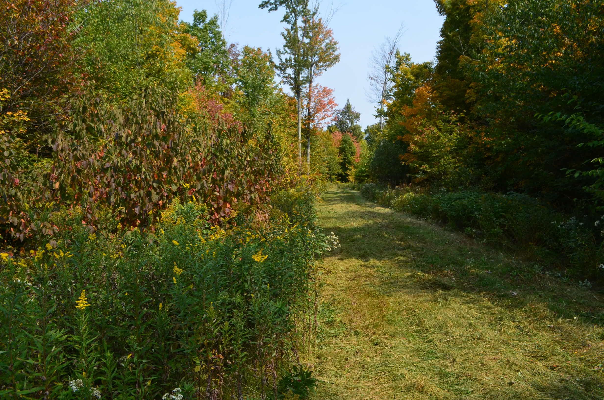 Peterson Road Gleason, WI 54435 - Photo 54 of 68