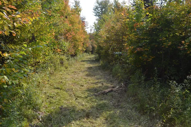 $429,900 | Peterson Road, Gleason, WI 54435