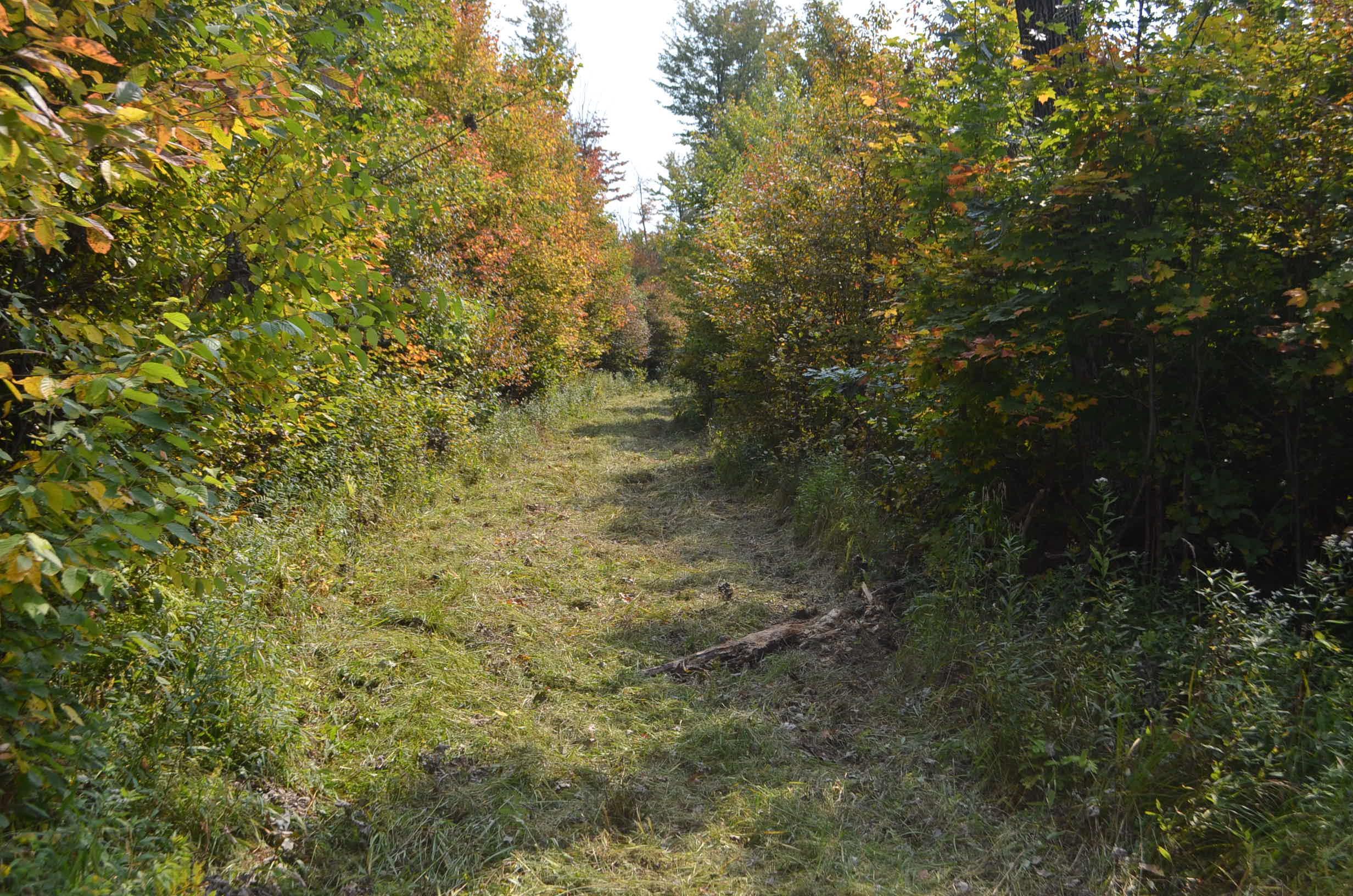 Peterson Road Gleason, WI 54435 - Photo 58 of 68