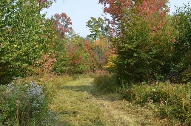 $429,900 | Peterson Road, Gleason, WI 54435