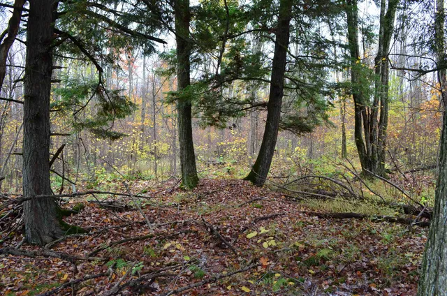 $429,900 | Peterson Road, Gleason, WI 54435