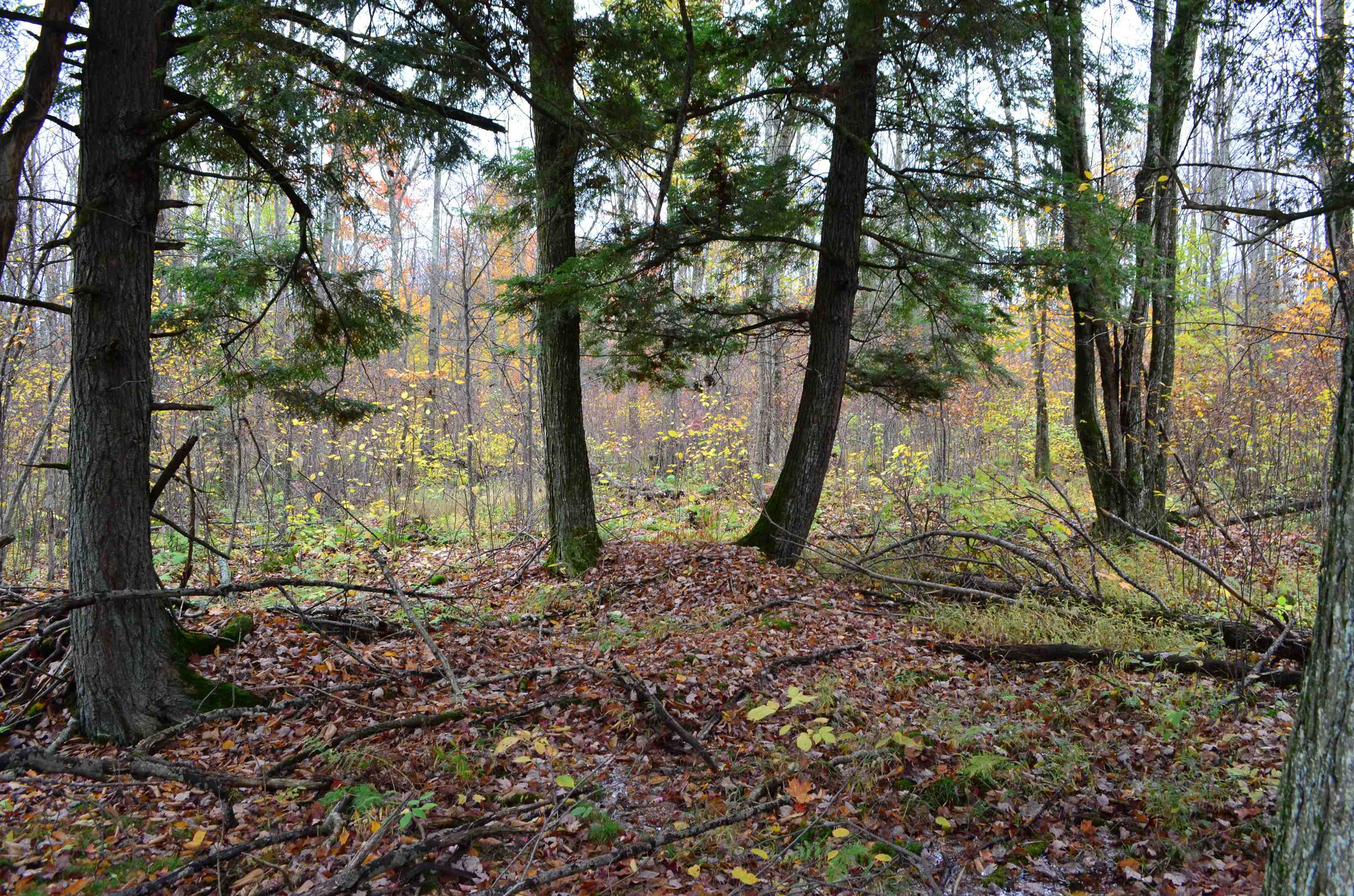 Peterson Road Gleason, WI 54435 - Photo 62 of 68