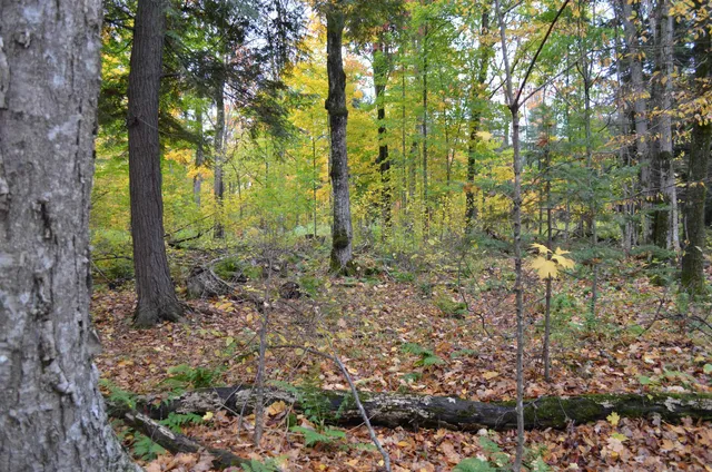 $429,900 | Peterson Road, Gleason, WI 54435