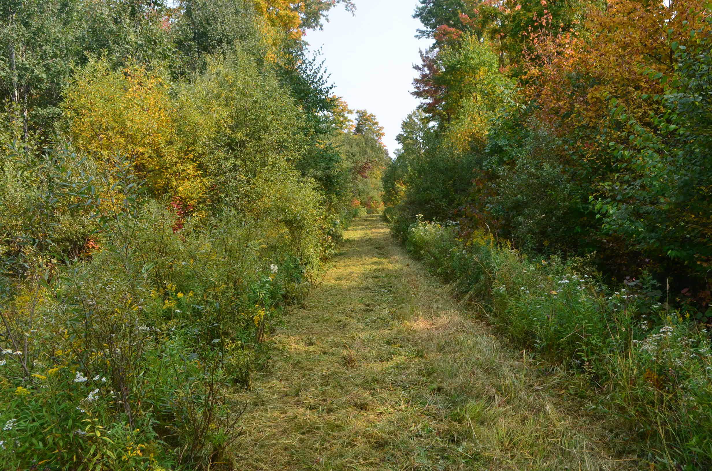 Peterson Road Gleason, WI 54435 - Photo 65 of 68