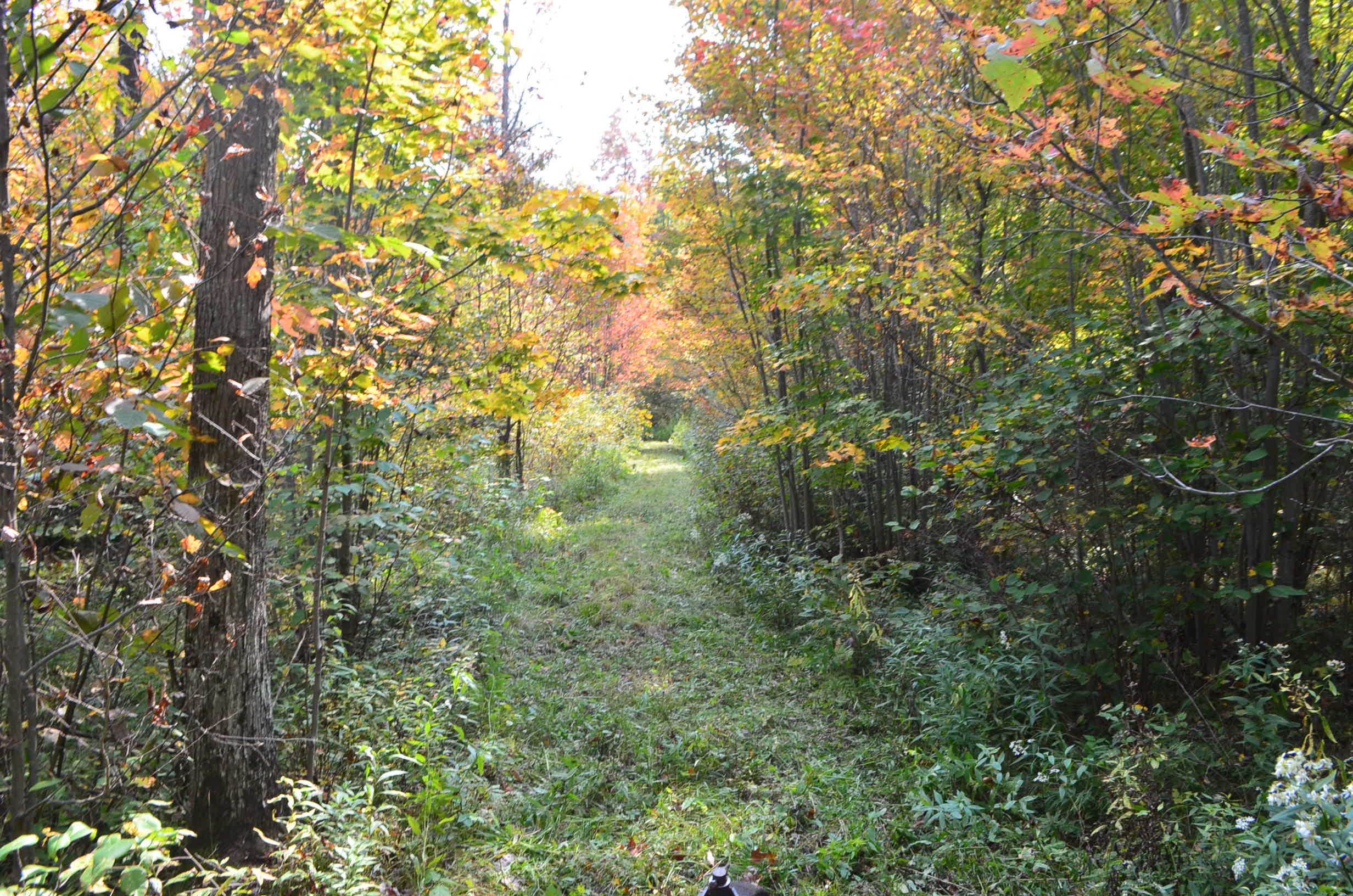 Peterson Road Gleason, WI 54435 - Photo 66 of 68