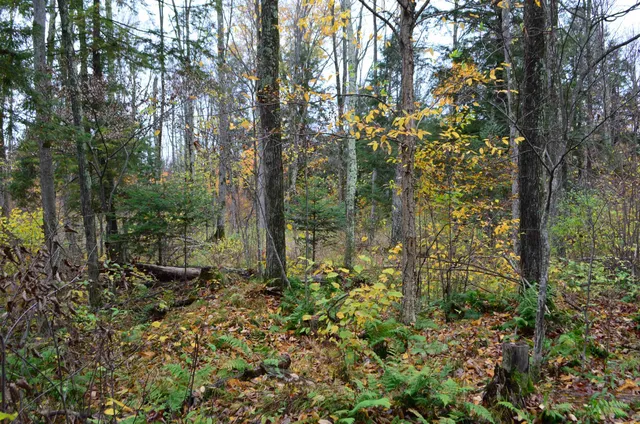 $429,900 | Peterson Road, Gleason, WI 54435