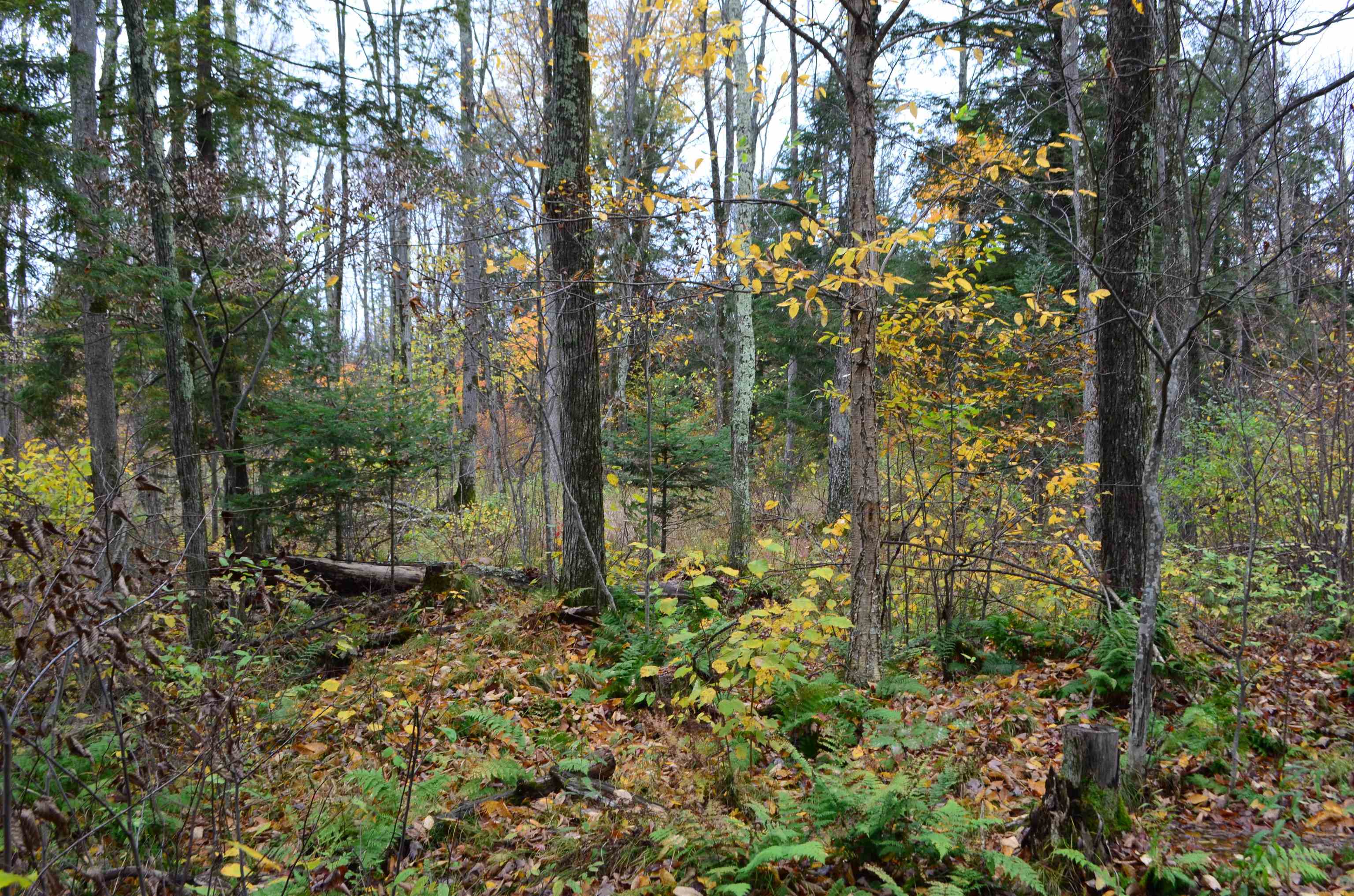 Peterson Road Gleason, WI 54435 - Photo 67 of 68