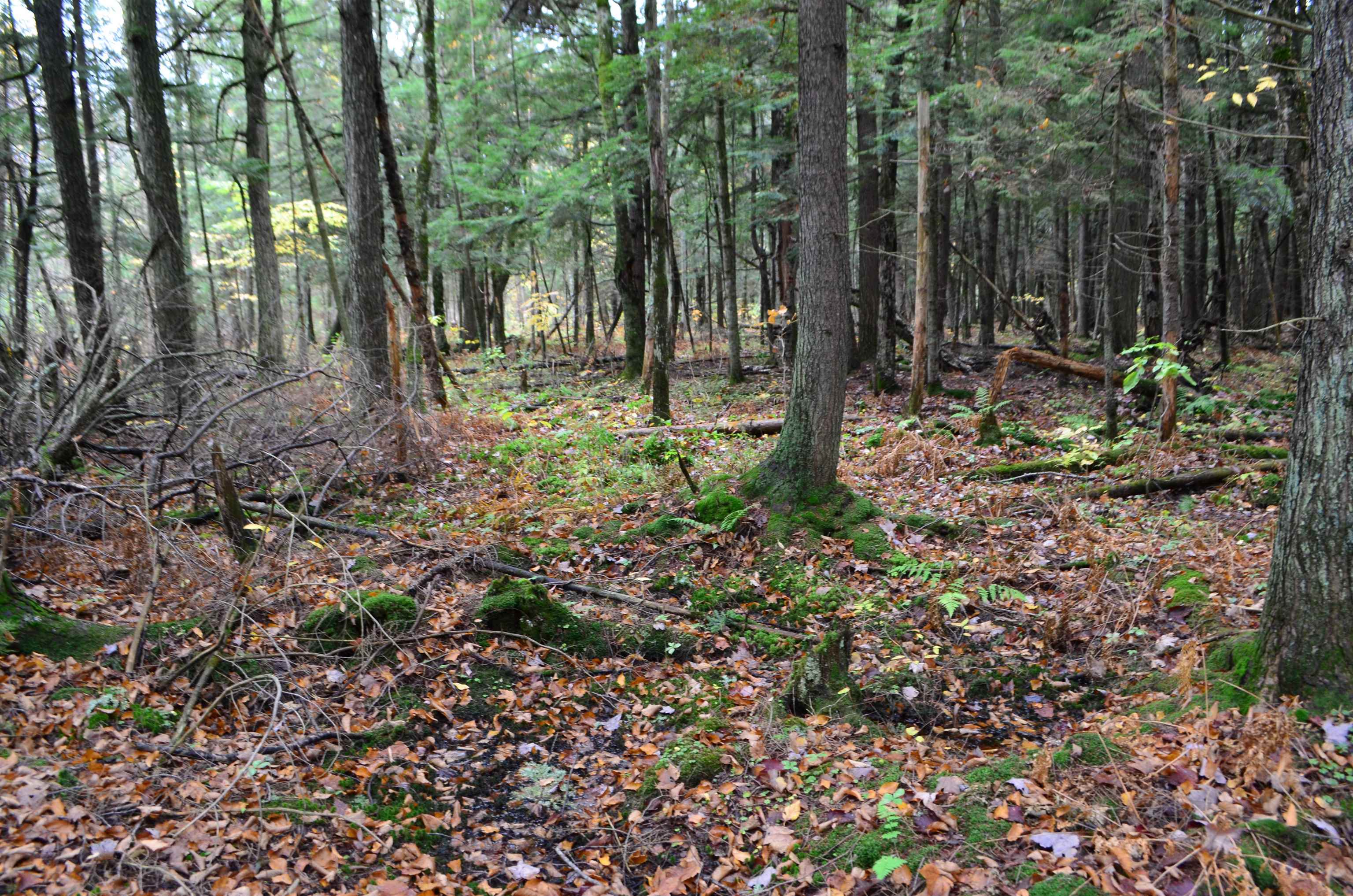 Peterson Road Gleason, WI 54435 - Photo 68 of 68