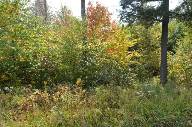 $429,900 | Peterson Road, Gleason, WI 54435