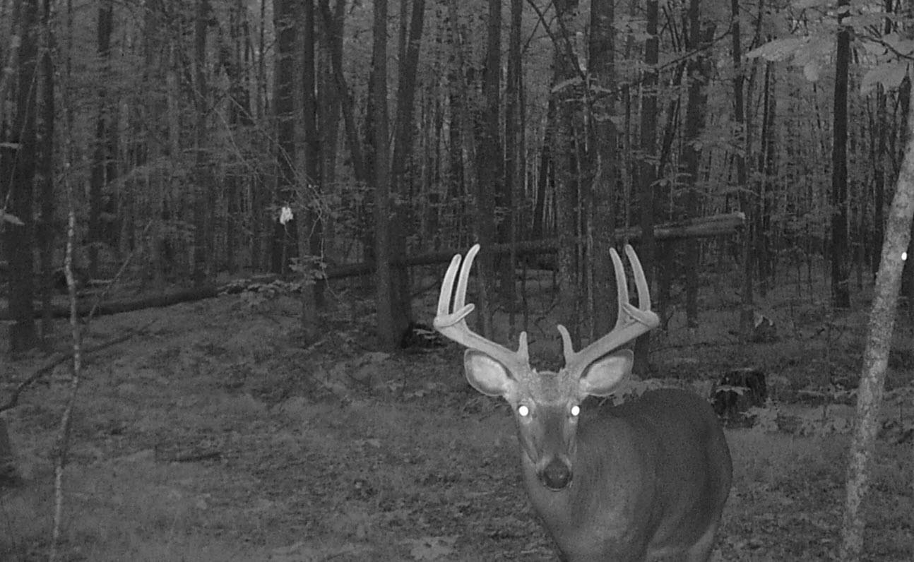Peterson Road Gleason, WI 54435 - Photo 9 of 68