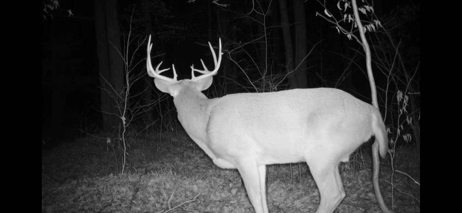 Peterson Road Gleason, WI 54435 - Photo 10 of 68