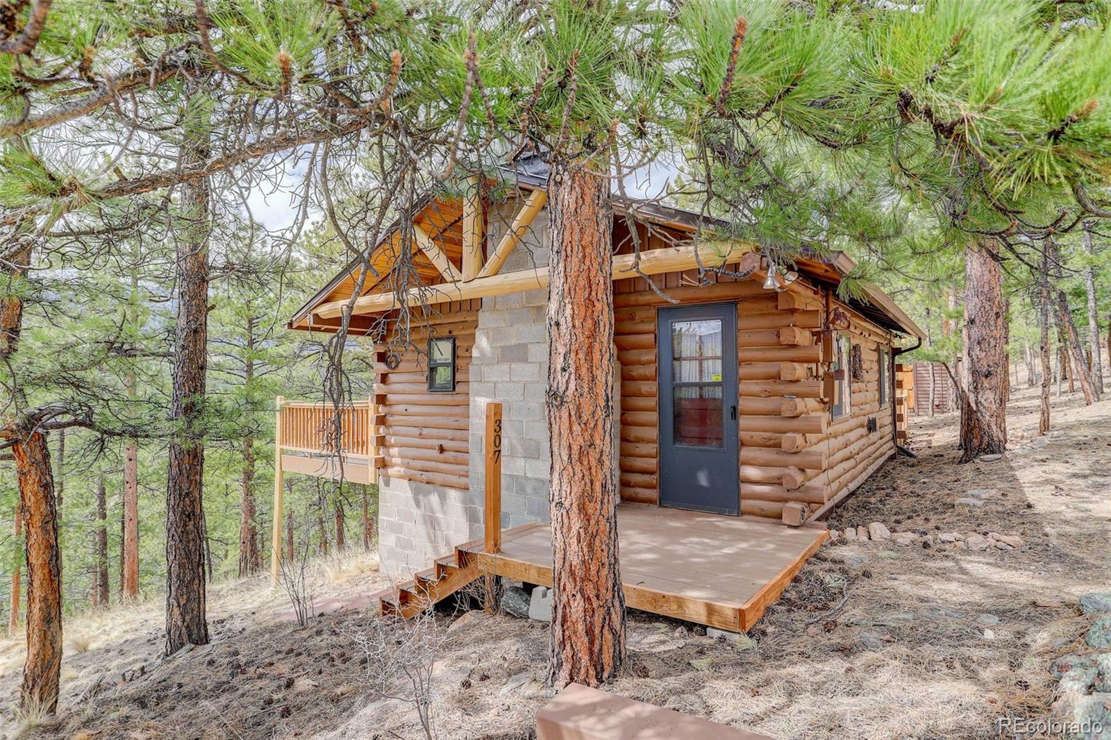 307 Virginia Road Bailey, CO 80421 - Photo 11 of 21