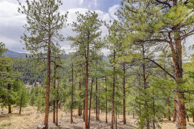 $269,000 | 307 Virginia Road, Bailey, CO 80421