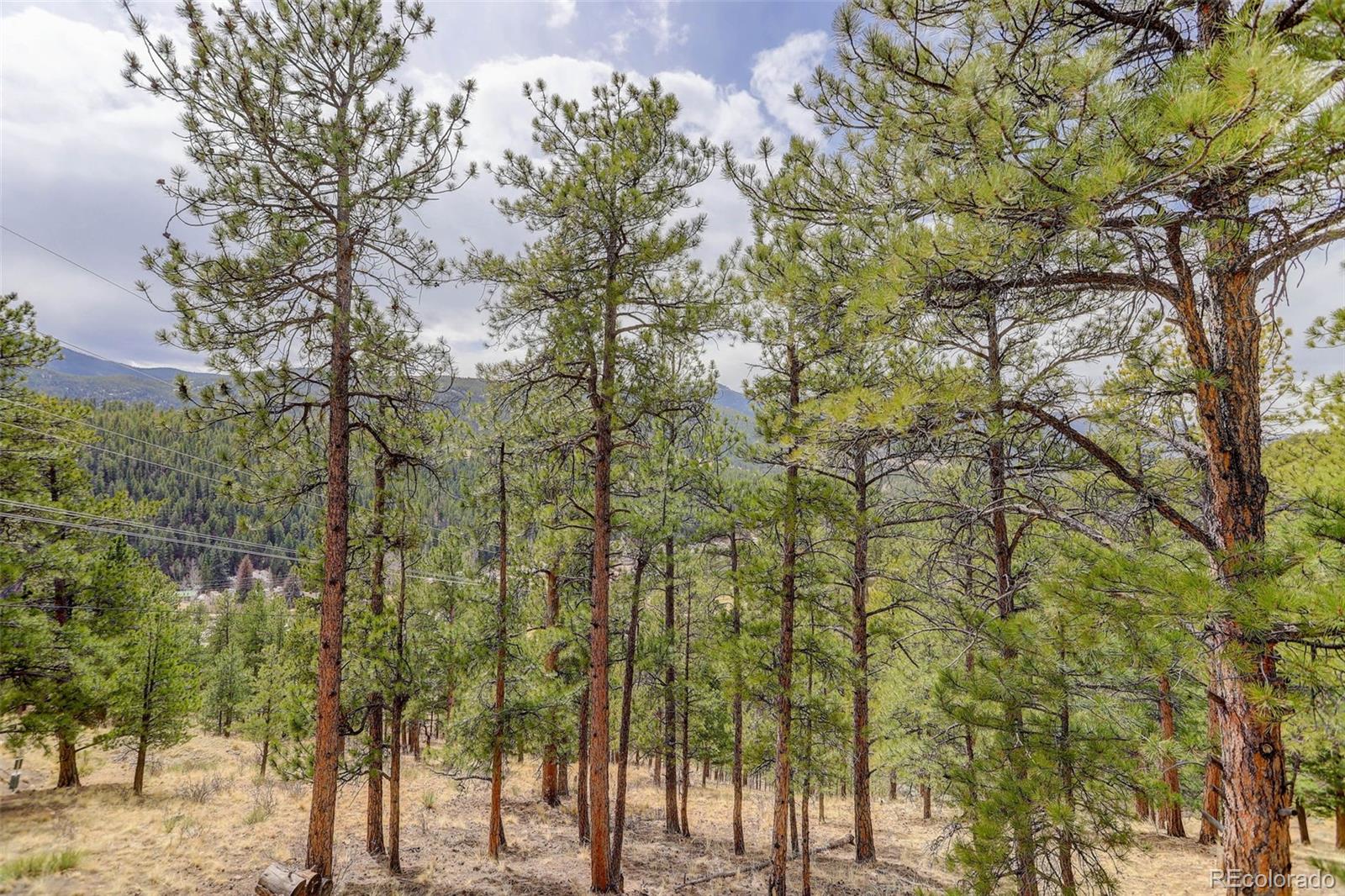 307 Virginia Road Bailey, CO 80421 - Photo 21 of 21