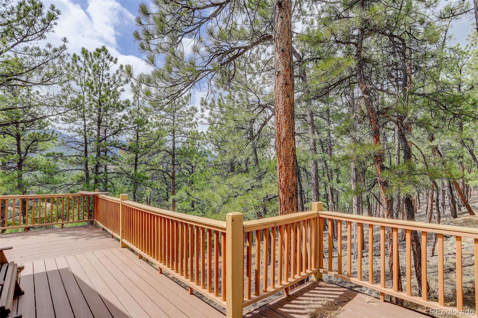 307 Virginia Road Bailey, CO 80421 - Photo 6 of 21