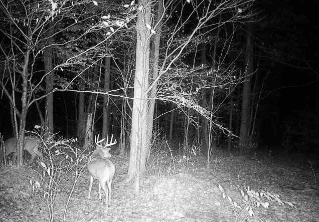 Ooo Snowshoe Road Wausau, WI 54403 - Photo 33 of 48