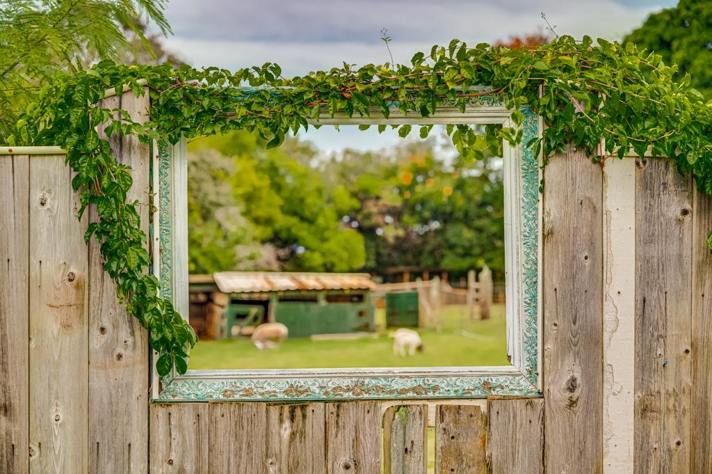720 Mopua Street Haiku, HI 96708 - Photo 20 of 22 a view of a small yard