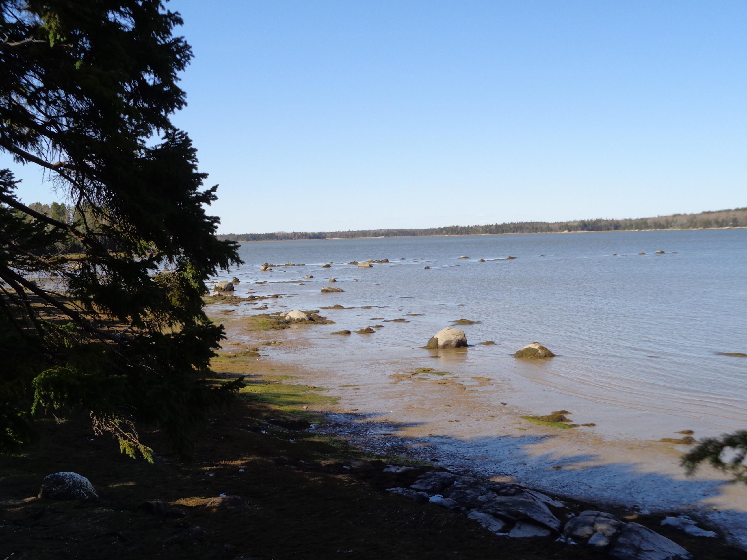 177 F Rays Point Road Milbridge, ME 04658 - Photo 4 of 14 DSC02932