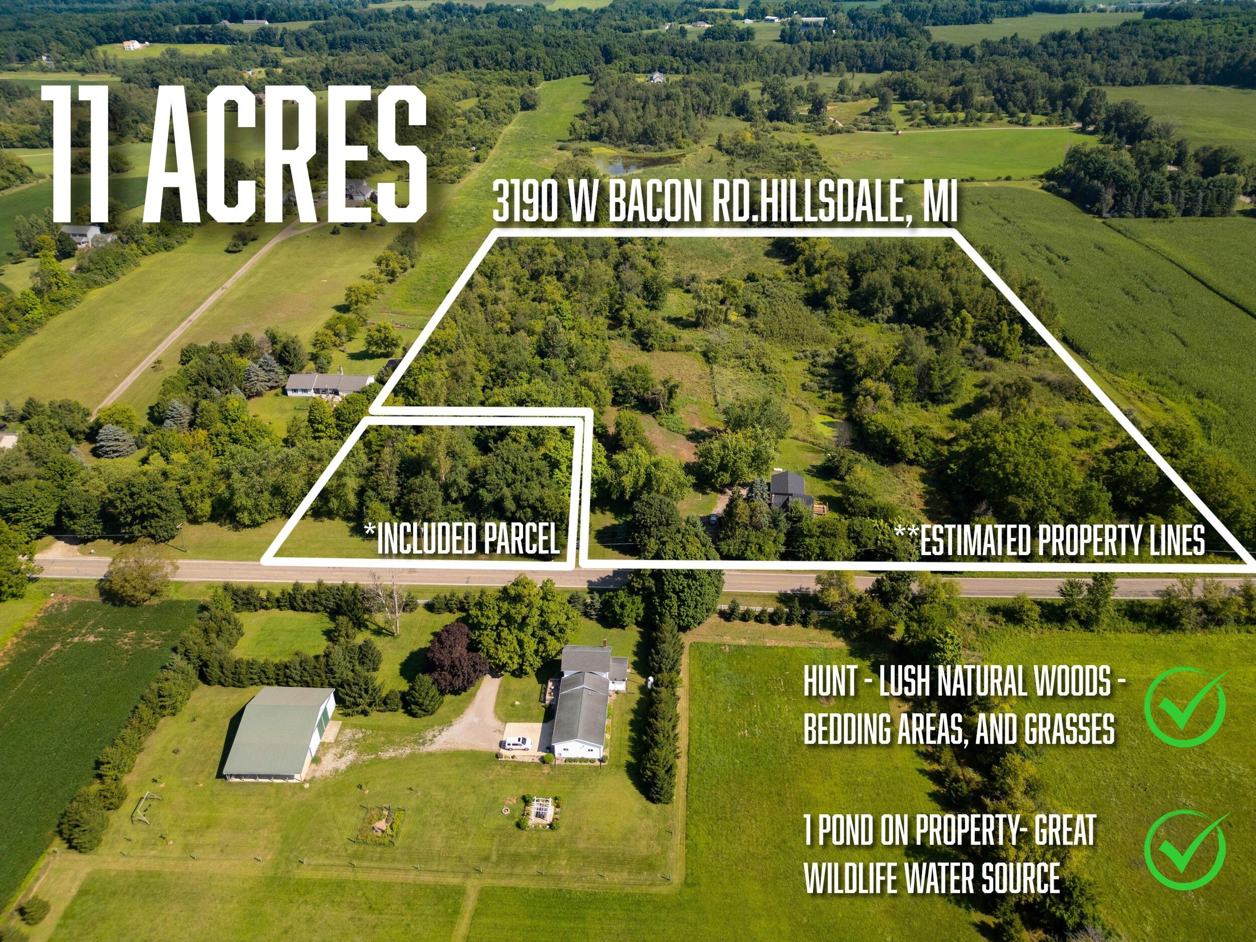 3190 West Bacon Road Hillsdale, MI 49242 - Photo 24 of 46 26_3190 bacon rd. - aerial parcel