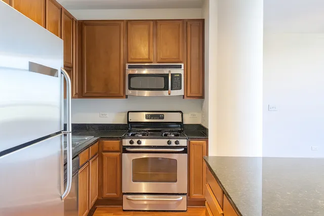 $2,750 | 1255 South State Street, Unit 1203, Chicago, IL 60605