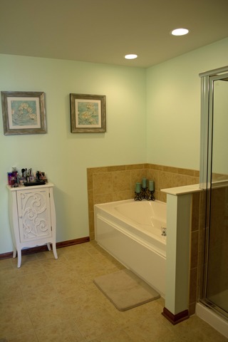 15646 Scotsglen Road Orland Park, IL 60462 - Photo 11 of 14 a bathroom with a tub sink and a mirror