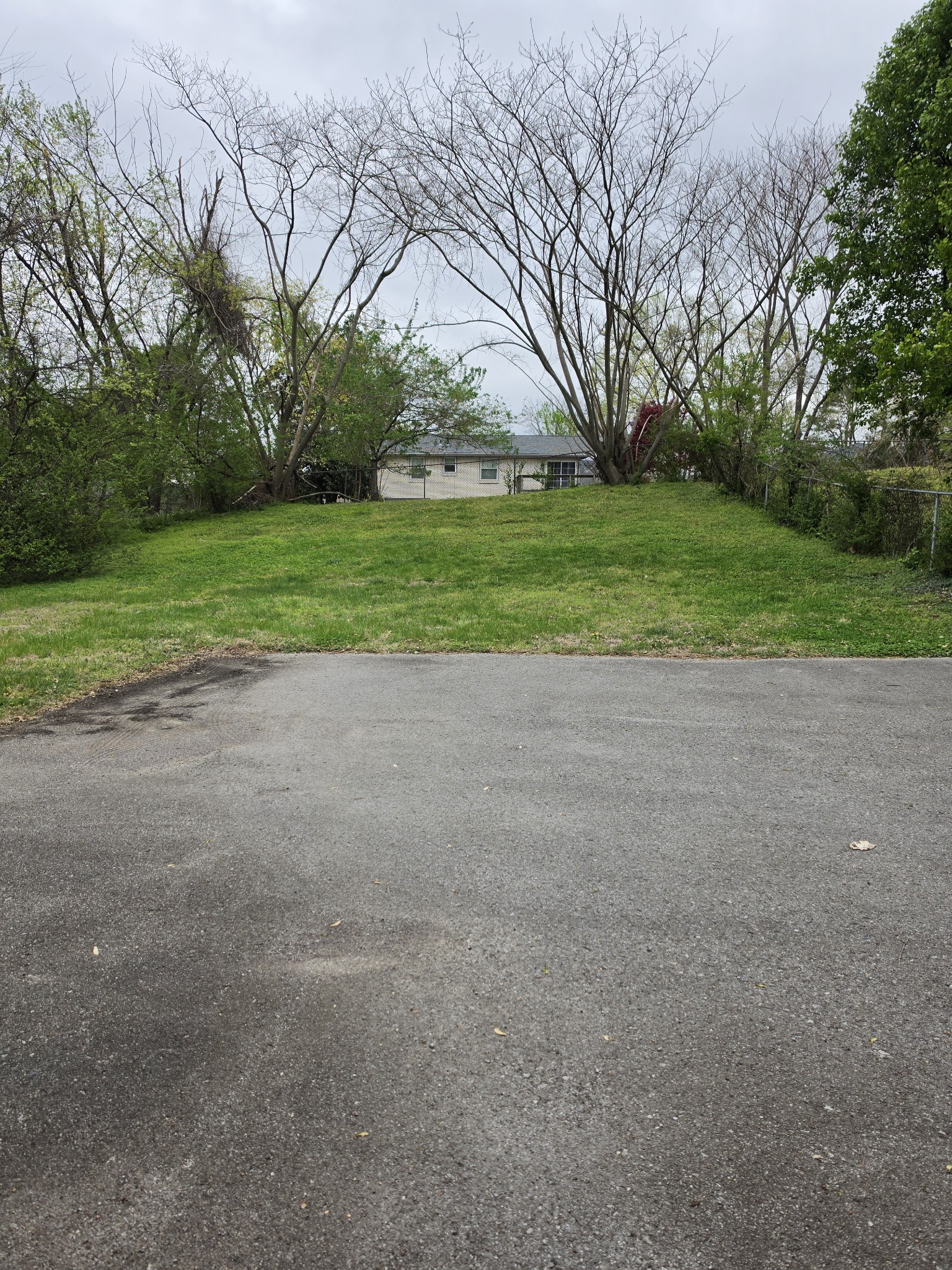 207 Blue Ridge Drive Old Hickory, TN 37138 - Photo 29 of 30