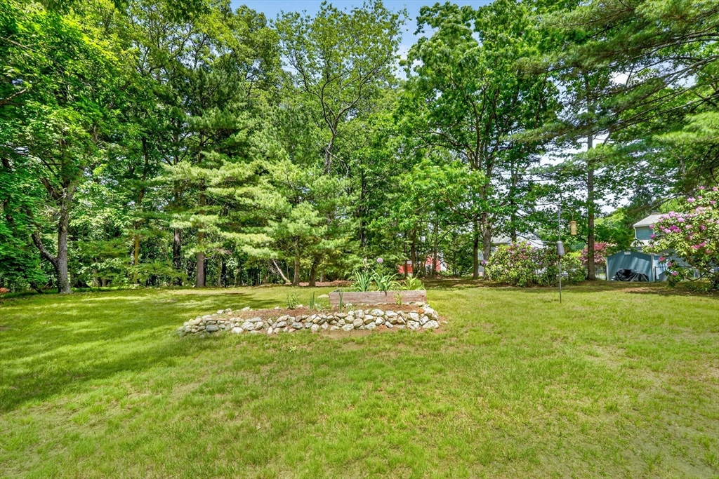 7 Pine Hill Road Bedford, MA 01730 - Photo 25 of 30
