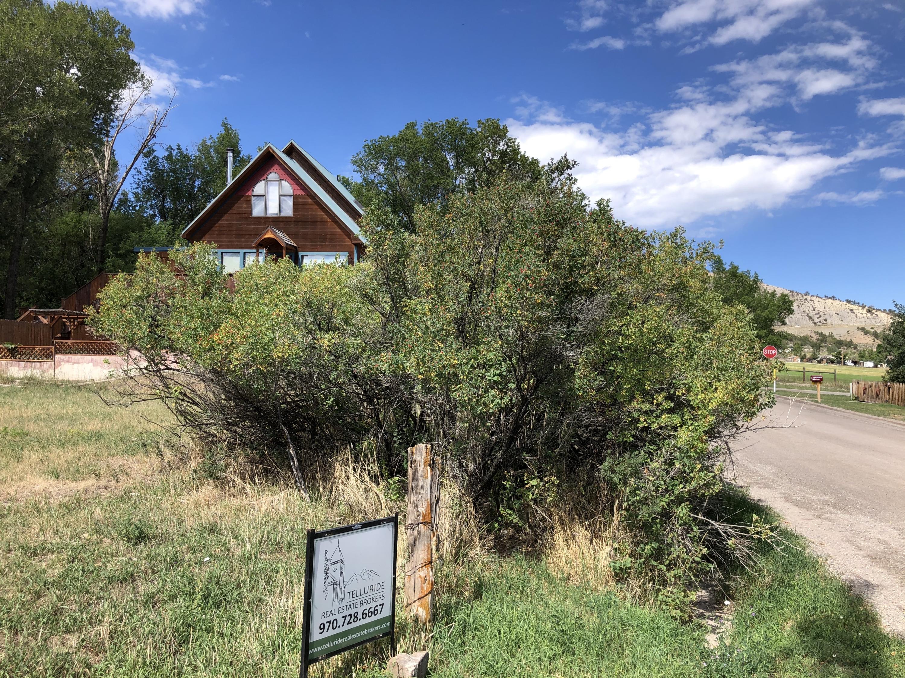 Tbd Charles Street Ridgway, CO 81432 - Photo 12 of 14 IMG_3666