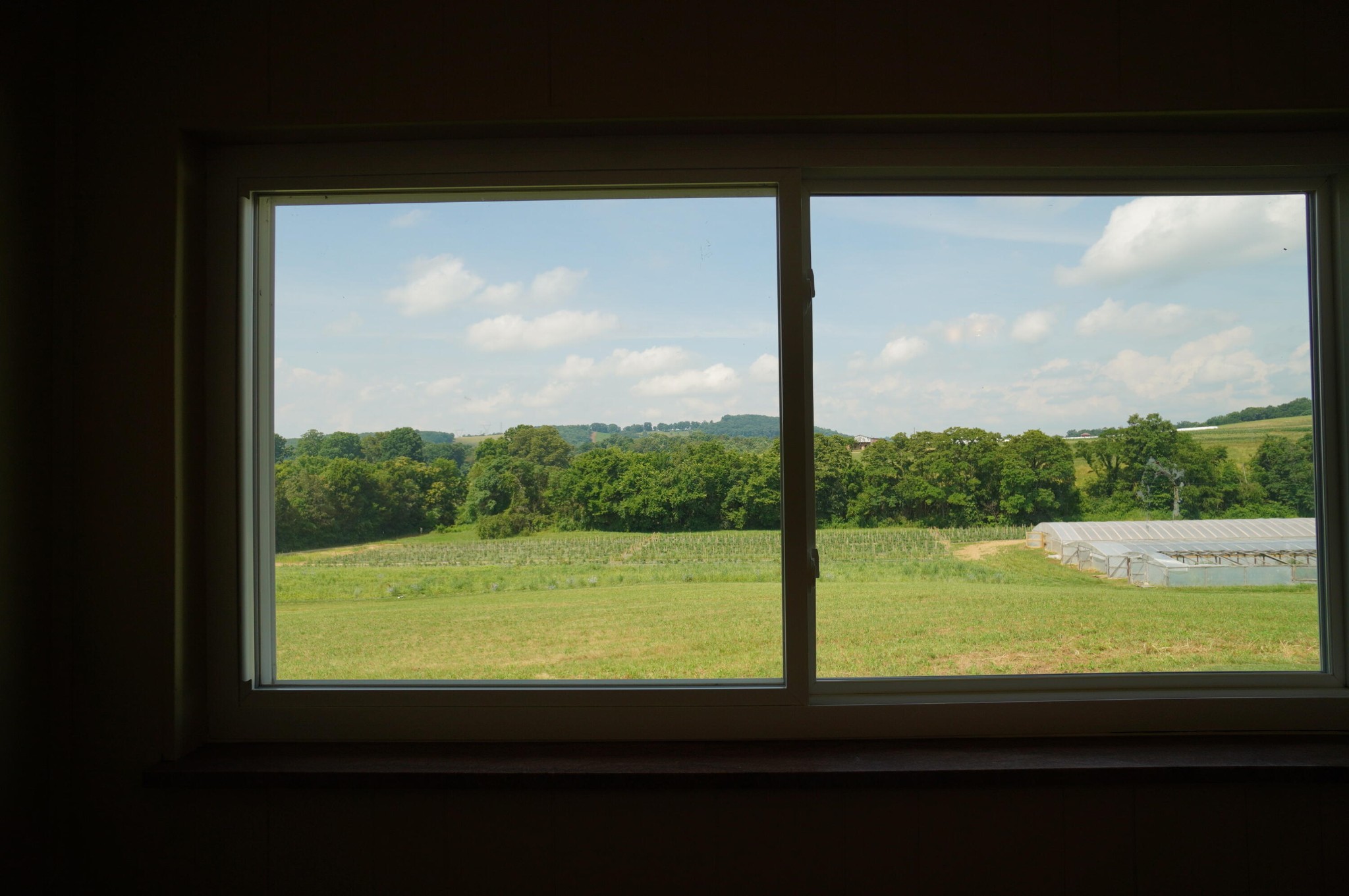 3060 Rocky Branch Road Rutledge, TN 37861 - Photo 26 of 42 Gallery Image 26
