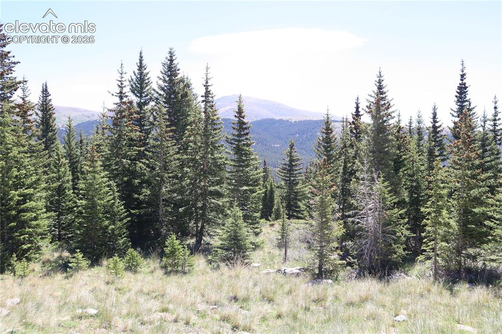 1480 Roberts Road Alma, CO 80420 - Photo 1 of 26