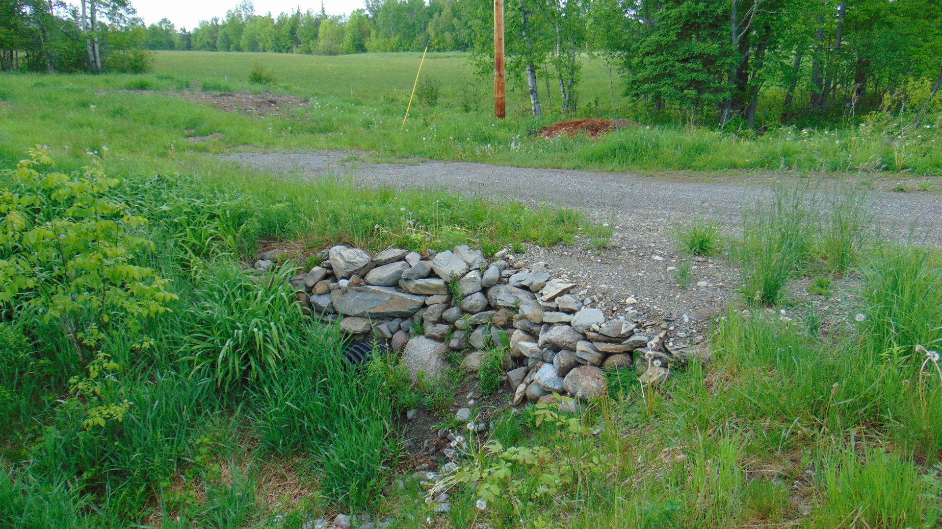 Tbd Tbd Macwahoc Road Mattawamkeag, ME 04459 - Photo 5 of 5 DSC02431