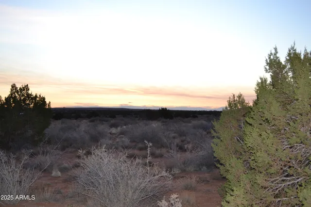 a view of a dry yard with green space and fog