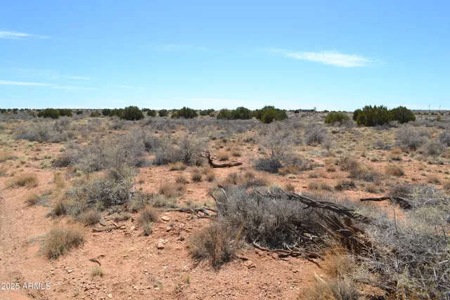a view of an outdoor space with mountain view