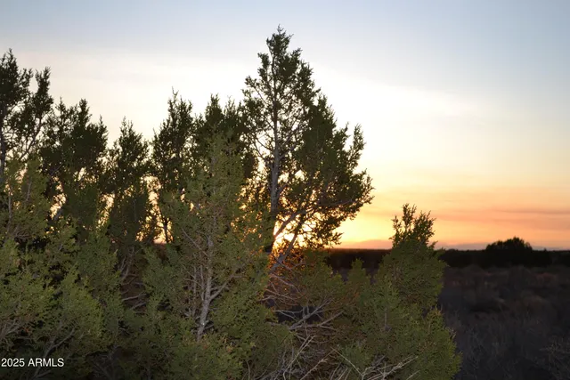 $47,500 | Lot 020 East B E 24th Street, Unit 20B, Snowflake, AZ 85937