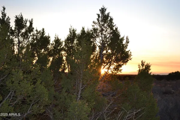$47,500 | Lot 020 East B E 24th Street, Unit 20B, Snowflake, AZ 85937