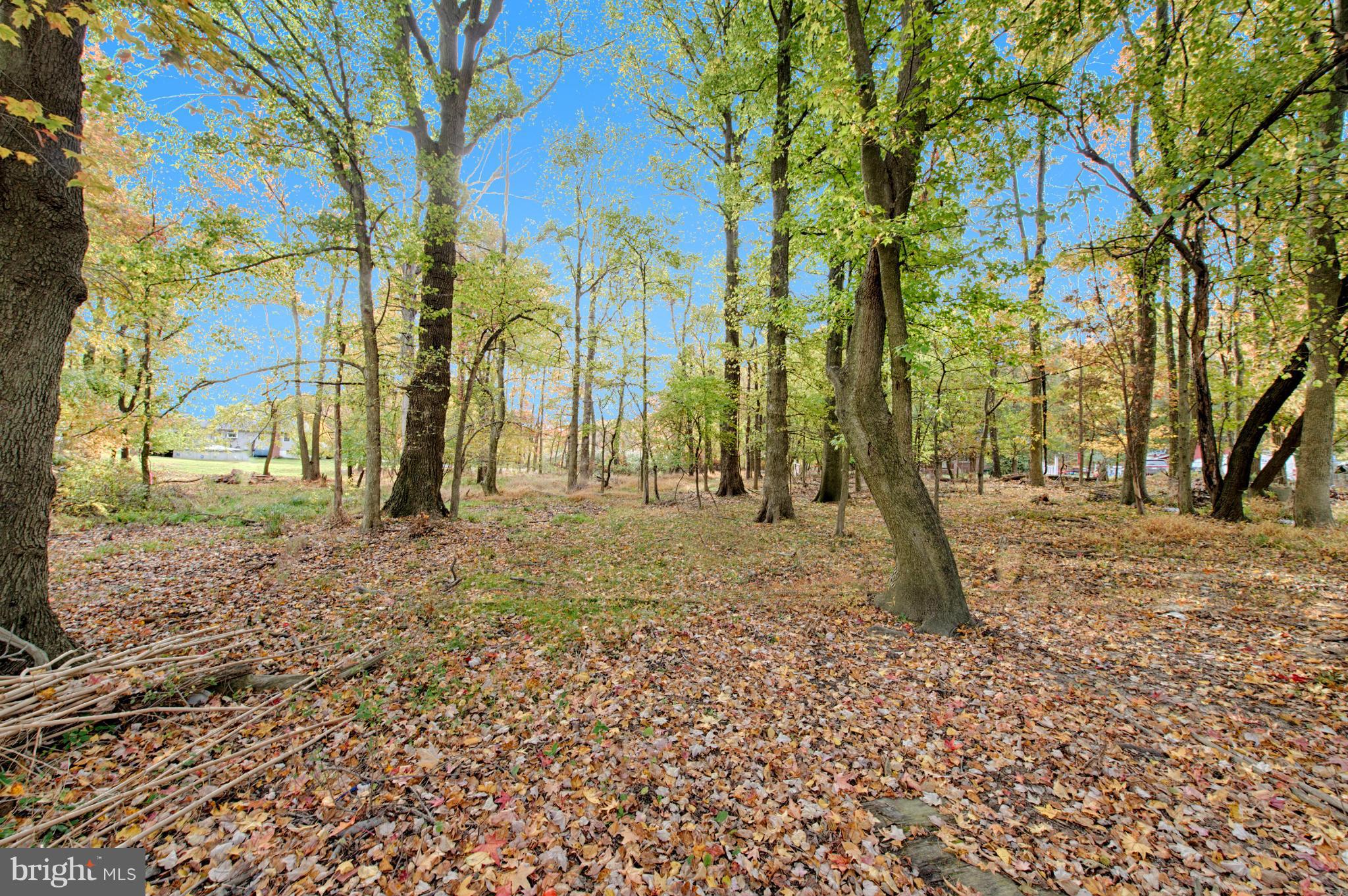 7205 Gunpowder Road Middle River, MD 21220 - Photo 25 of 25 a view of a park with a tree