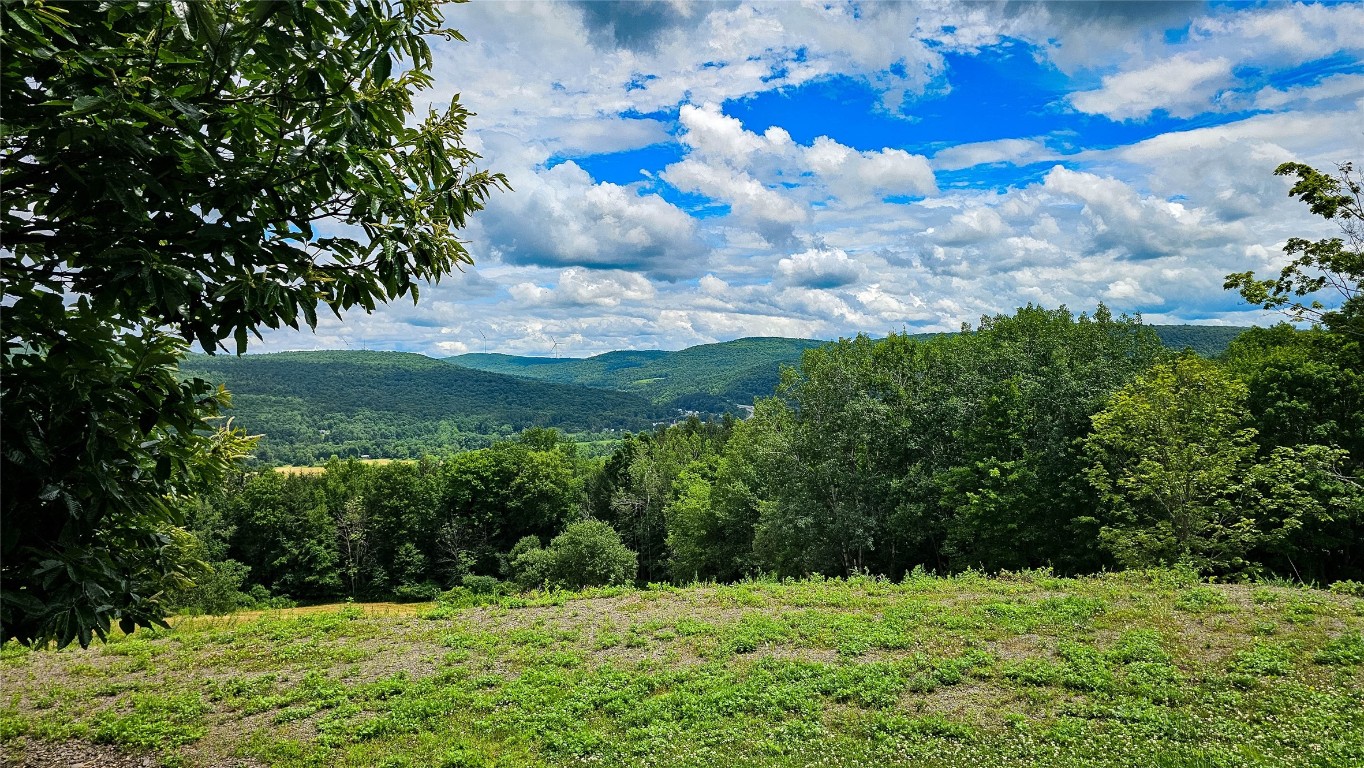 514 Piper Hill Road Windsor, NY 13865 - Photo 4 of 27