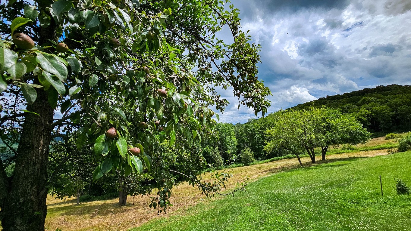 514 Piper Hill Road Windsor, NY 13865 - Photo 5 of 27