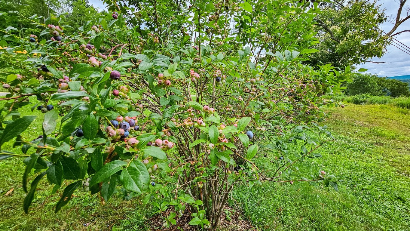 514 Piper Hill Road Windsor, NY 13865 - Photo 6 of 27