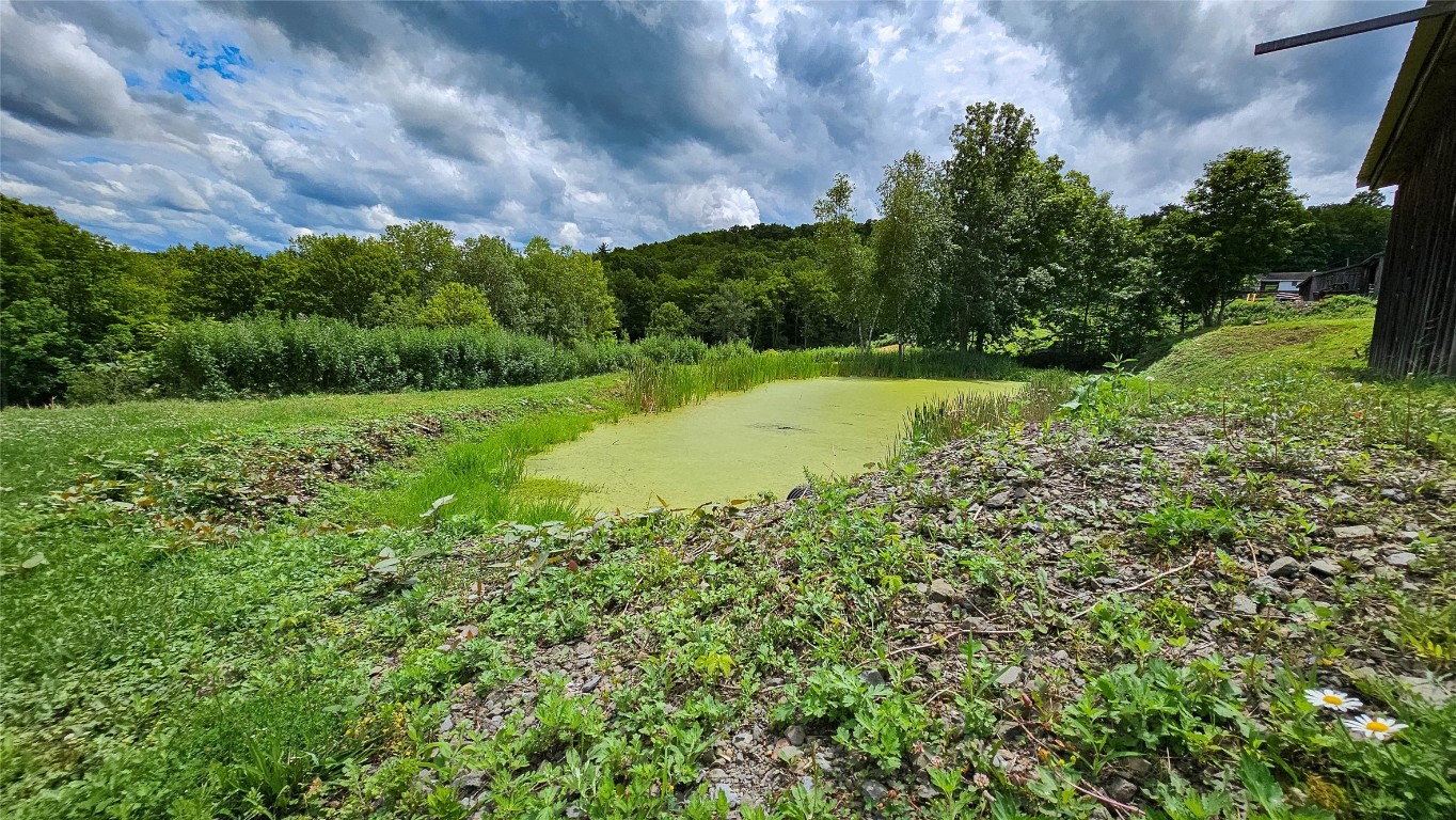 514 Piper Hill Road Windsor, NY 13865 - Photo 7 of 27