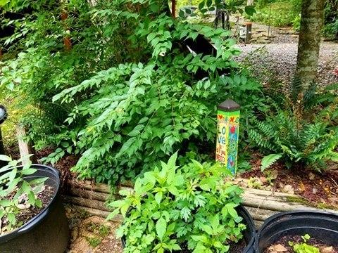 2843 River Road Tellico Plains, TN 37385 - Photo 22 of 35 74424795_895765604255232_566948989273887