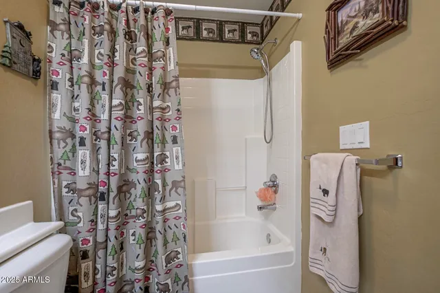 a bathroom with a shower curtain and a shower curtain