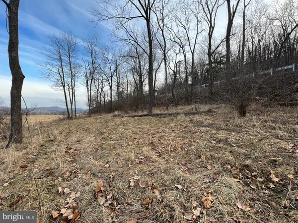 $54,900 | Tbd Hummingbird Lane, Unit LOT 1A, Capon Bridge, WV 26808