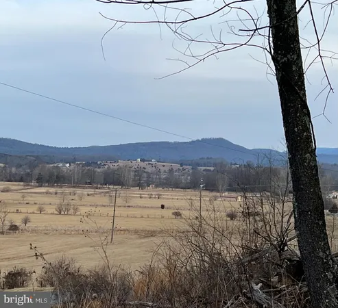 $54,900 | Tbd Hummingbird Lane, Unit LOT 1A, Capon Bridge, WV 26808
