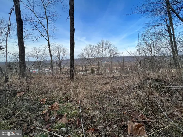 $54,900 | Tbd Hummingbird Lane, Unit LOT 1A, Capon Bridge, WV 26808