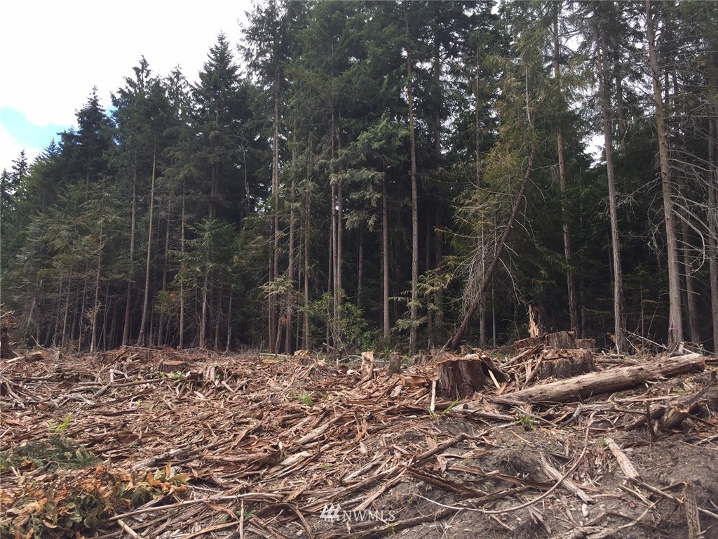 999 Michaels Road Sequim, WA 98382 - Photo 1 of 6