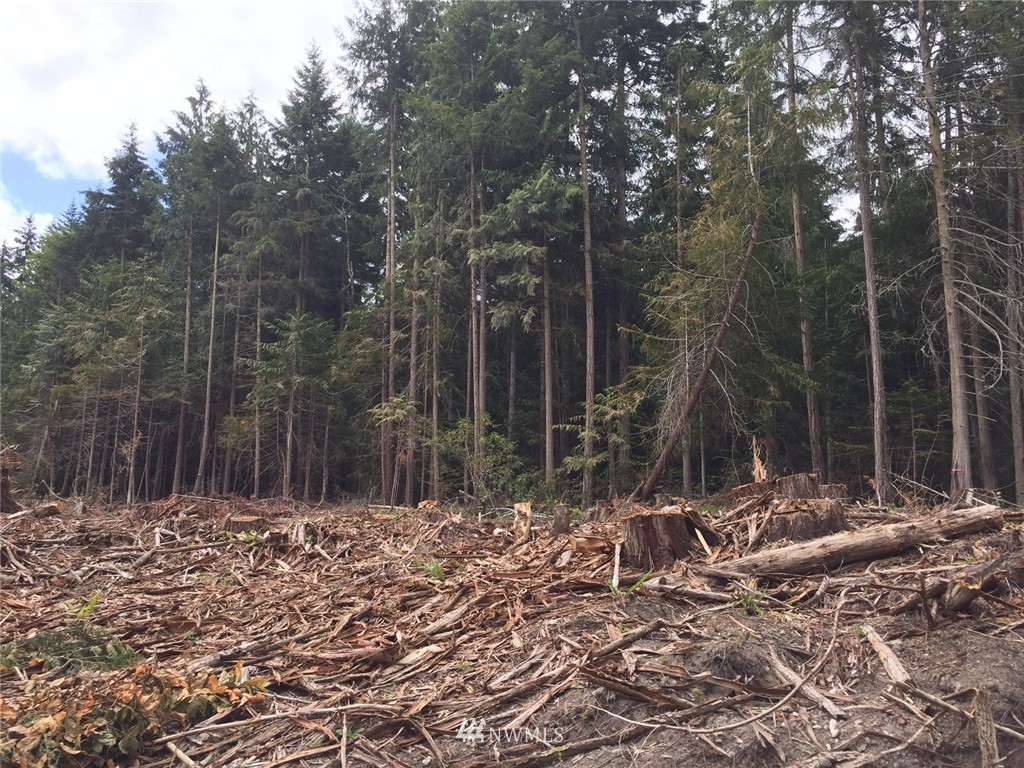 999 Michaels Road Sequim, WA 98382 - Photo 2 of 6