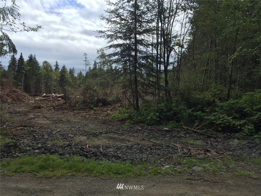 999 Michaels Road Sequim, WA 98382 - Photo 5 of 6